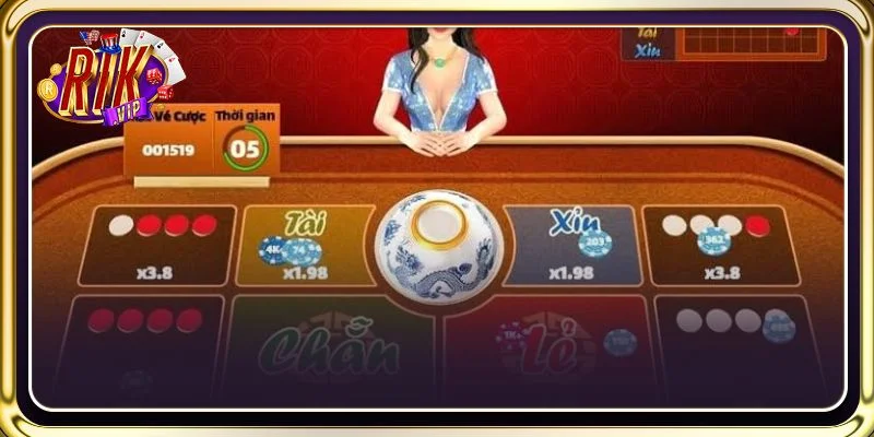 Luật chơi xóc đĩa phiên bản 2026 newbie cần nắm