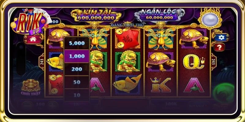 Một vài mẹo chơi đặc sắc cược thủ cần áp dụng trên bàn cược Ngũ Long